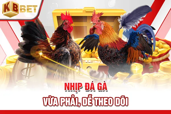 Nhịp đá gà vừa phải, dễ theo dõi