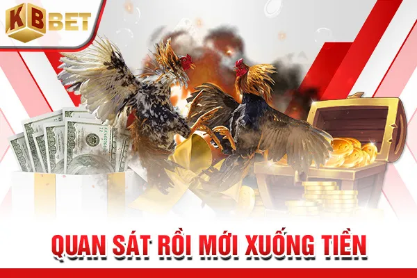 Quan sát rồi mới xuống tiền