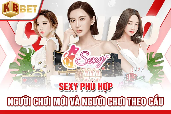Sexy phù hợp người chơi mới và người chơi theo cầu